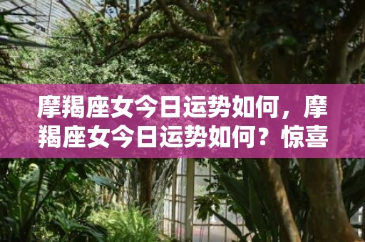 摩羯座女今日运势如何，摩羯座女今日运势如何？惊喜还是失望？