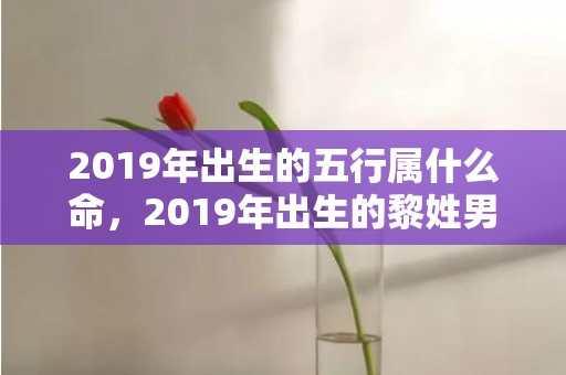 2019年出生的五行属什么命，2019年出生的黎姓男宝宝如何起名字，宜用什么字。