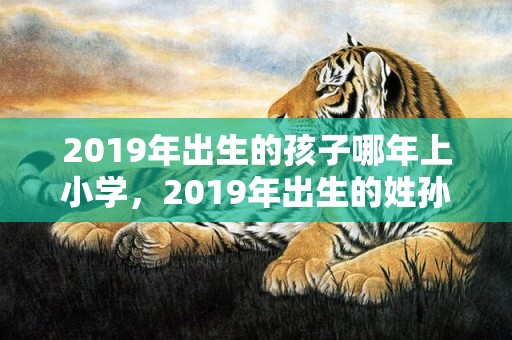 2019年出生的孩子哪年上小学，2019年出生的姓孙男孩如何起名，宜用什么字