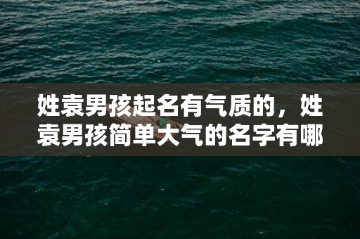 姓袁男孩起名有气质的，姓袁男孩简单大气的名字有哪些