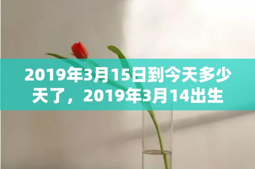 2019年3月15日到今天多少天了，2019年3月14出生的男宝宝五行缺水要如何起名字