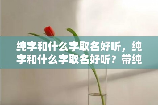 纯字和什么字取名好听，纯字和什么字取名好听？带纯字的男孩名字大全