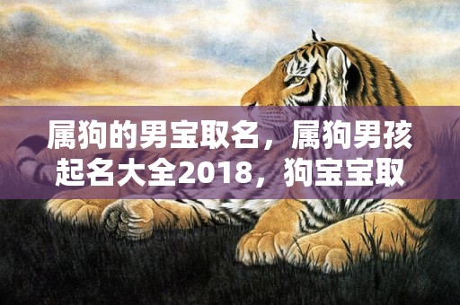 属狗的男宝取名，属狗男孩起名大全2018，狗宝宝取名