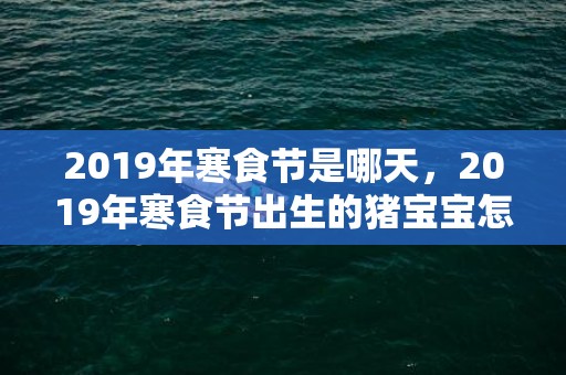 2019年寒食节是哪天，2019年寒食节出生的猪宝宝怎么取名？猪宝宝名字推荐