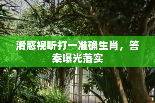 淆惑视听打一准确生肖，答案曝光落实