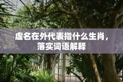虚名在外代表指什么生肖，落实词语解释