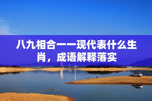 八九相合一一现代表什么生肖，成语解释落实