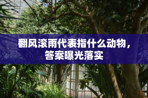 翻风滚雨代表指什么动物，答案曝光落实