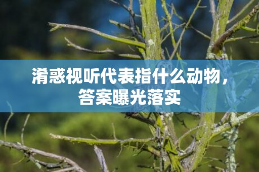 淆惑视听代表指什么动物，答案曝光落实