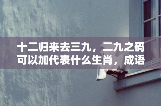 十二归来去三九，二九之码可以加代表什么生肖，成语解释落实