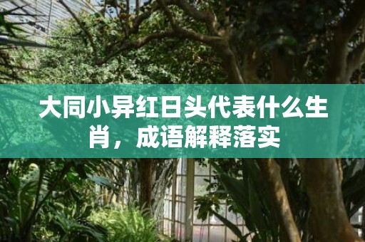 大同小异红日头代表什么生肖，成语解释落实