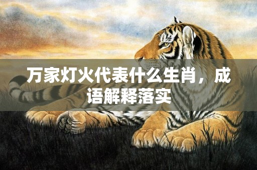 万家灯火代表什么生肖，成语解释落实