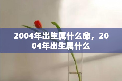 2004年出生属什么命，2004年出生属什么