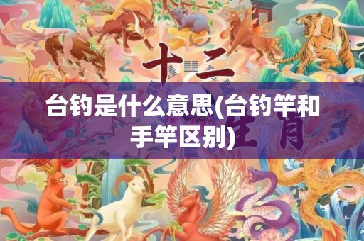 台钓是什么意思(台钓竿和手竿区别)