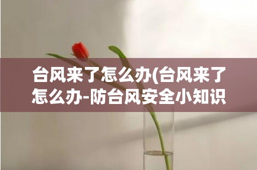 台风来了怎么办(台风来了怎么办-防台风安全小知识)