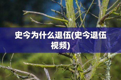 史今为什么退伍(史今退伍视频)