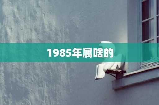 1985年属啥的