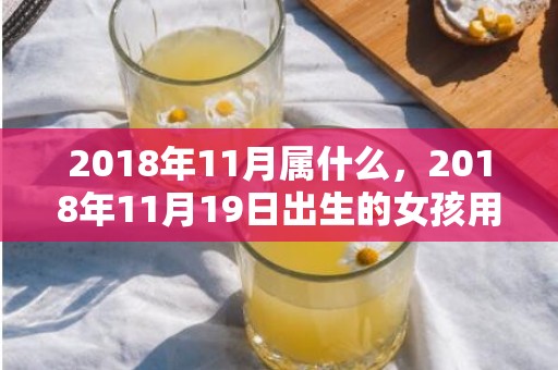 2018年11月属什么，2018年11月19日出生的女孩用五行怎么取名？日柱论命好吗？