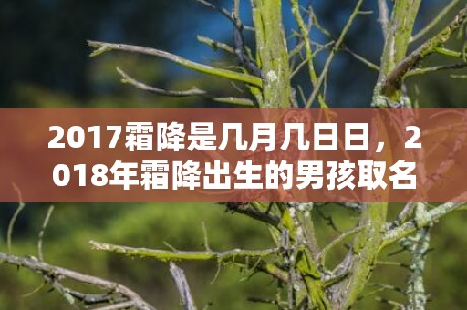 2017霜降是几月几日日，2018年霜降出生的男孩取名推荐！宝宝八字起名怎么起？