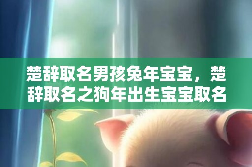 楚辞取名男孩兔年宝宝，楚辞取名之狗年出生宝宝取名，2018狗年宝宝名字