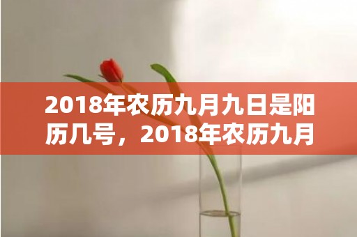 2018年农历九月九日是阳历几号，2018年农历九月二十五出生起名带什么字好？宝宝性格如何？