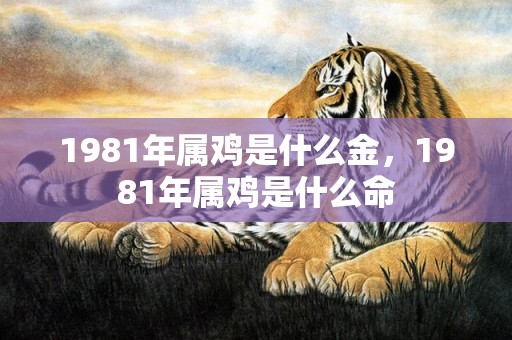 1981年属鸡是什么金，1981年属鸡是什么命