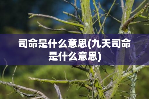 司命是什么意思(九天司命是什么意思)