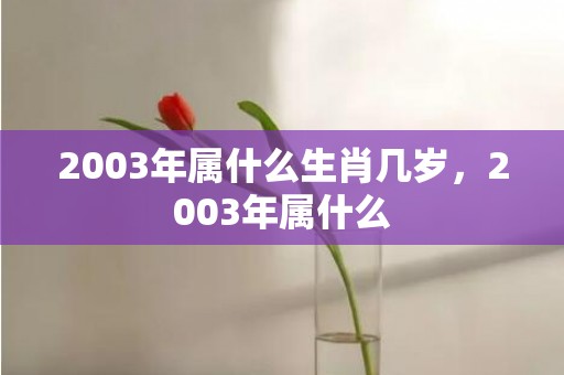 2003年属什么生肖几岁，2003年属什么