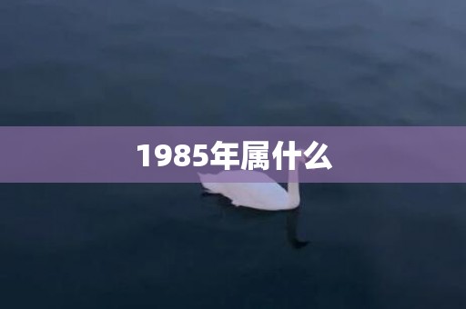 1985年属什么