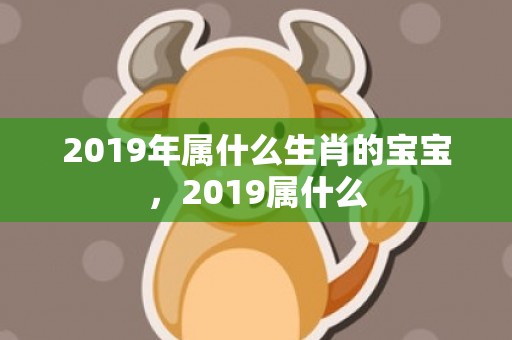 2019年属什么生肖的宝宝，2019属什么