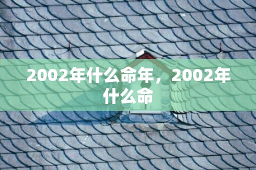 2002年什么命年，2002年什么命