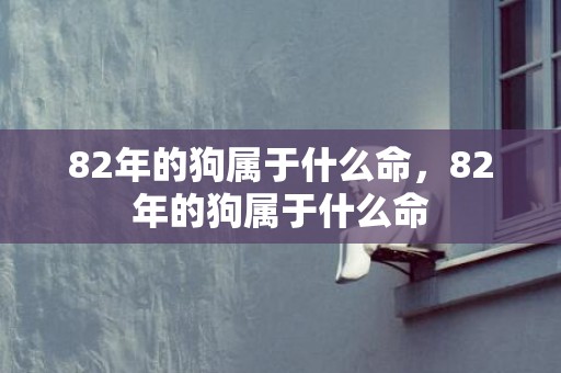 82年的狗属于什么命，82年的狗属于什么命