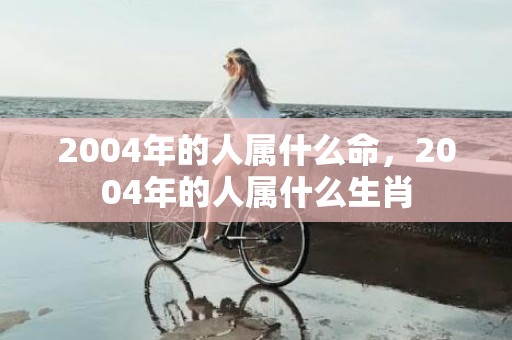 2004年的人属什么命，2004年的人属什么生肖