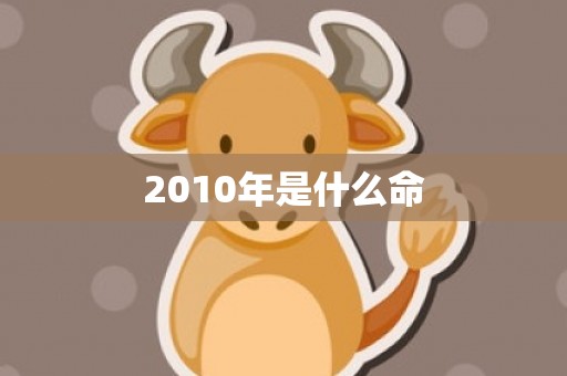 2010年是什么命