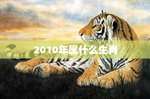 2010年属什么生肖