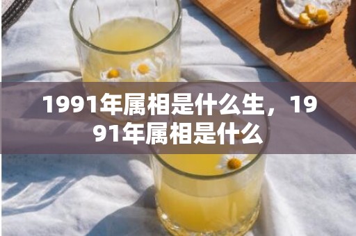 1991年属相是什么生，1991年属相是什么