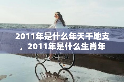 2011年是什么年天干地支，2011年是什么生肖年