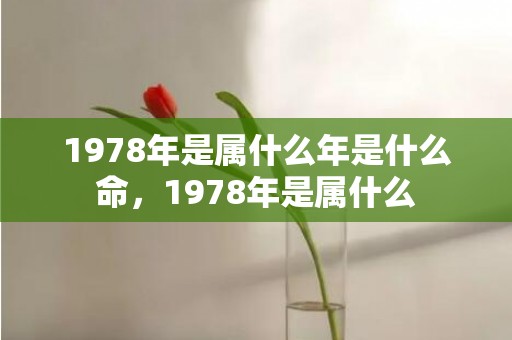 1978年是属什么年是什么命，1978年是属什么