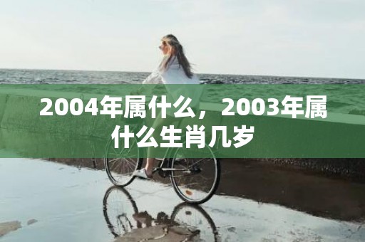 2004年属什么，2003年属什么生肖几岁