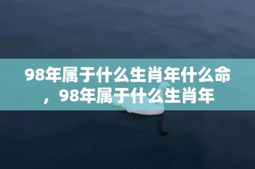 98年属于什么生肖年什么命，98年属于什么生肖年