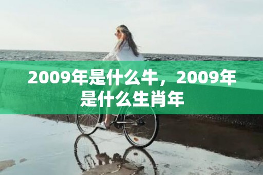 2009年是什么牛，2009年是什么生肖年
