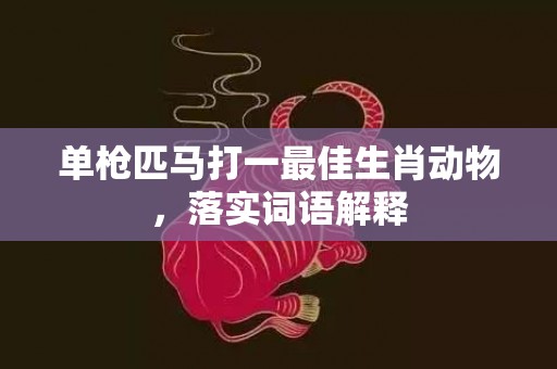单枪匹马打一最佳生肖动物，落实词语解释