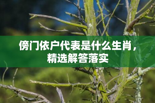傍门依户代表是什么生肖，精选解答落实