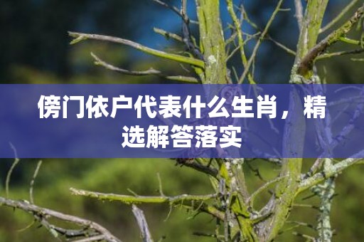 傍门依户代表什么生肖，精选解答落实