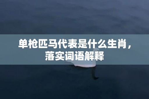 单枪匹马代表是什么生肖，落实词语解释