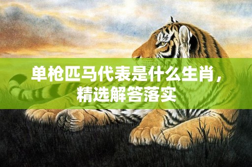单枪匹马代表是什么生肖，精选解答落实