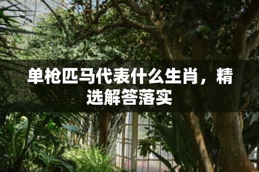 单枪匹马代表什么生肖，精选解答落实