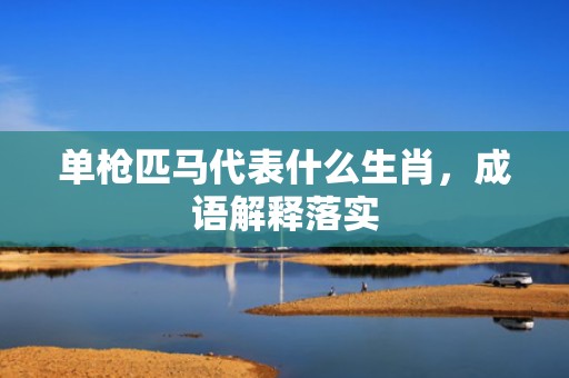 单枪匹马代表什么生肖，成语解释落实