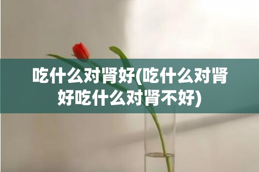 吃什么对肾好(吃什么对肾好吃什么对肾不好)