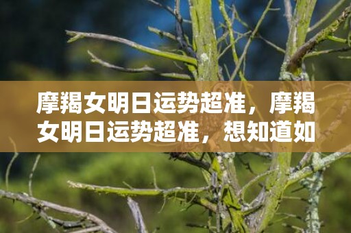 摩羯女明日运势超准，摩羯女明日运势超准，想知道如何利用好运势？
